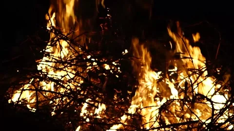 Flames burning in the bonfire Stock Footage 61746698