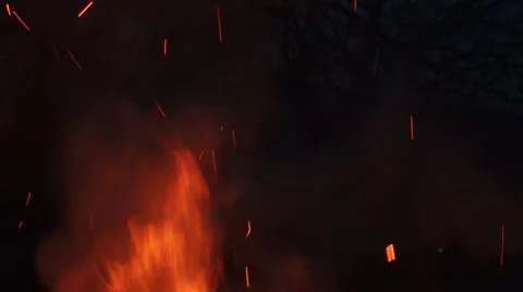 Flames burning in the bonfire Stock Footage 62185942
