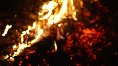 Flames burning in the bonfire Stock Footage 62186236