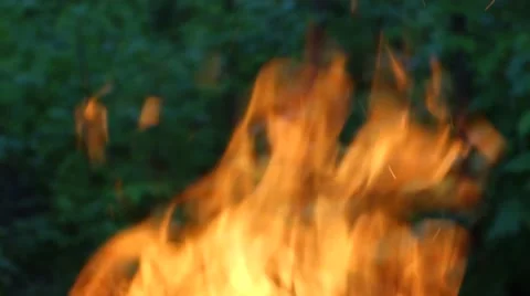 Flames burning in the bonfire Stock Footage 63500951