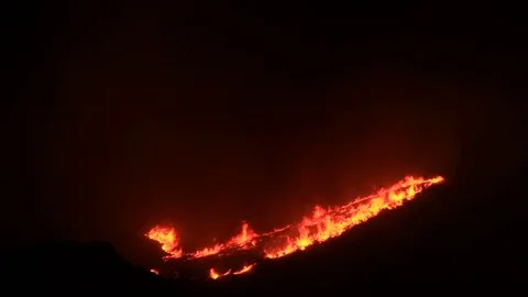 Flames burning in California mountain at night Stock Footage 80357906