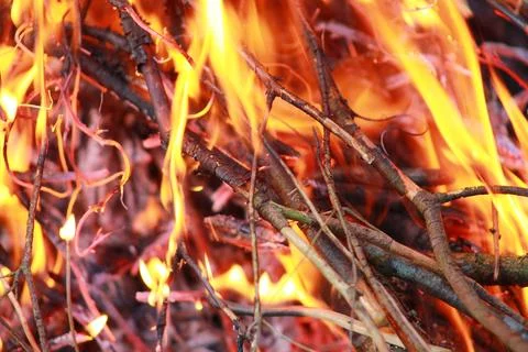 Flames of a burning fire Stock Photos