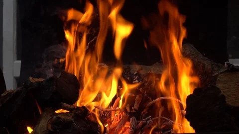 Flames from burning firewood Stock Footage 113181491