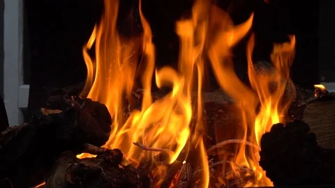 Flames from burning firewood from fruit trees on an open grill Stock Footage 113181472