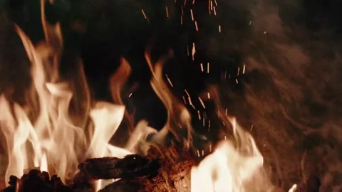 Flames of Burning Firewoods Against Dark Background Stock Footage 276528767