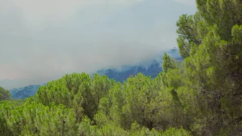 Flames burning in the mountains of Ávila in the background. Zoom out Stock Footage 341501568
