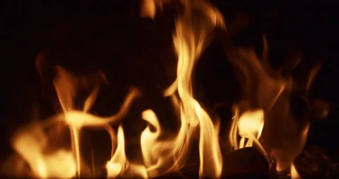 Flames Burning Over Dark Red Wood in Slow Motion Extreme Close Up Stock Footage 343546085