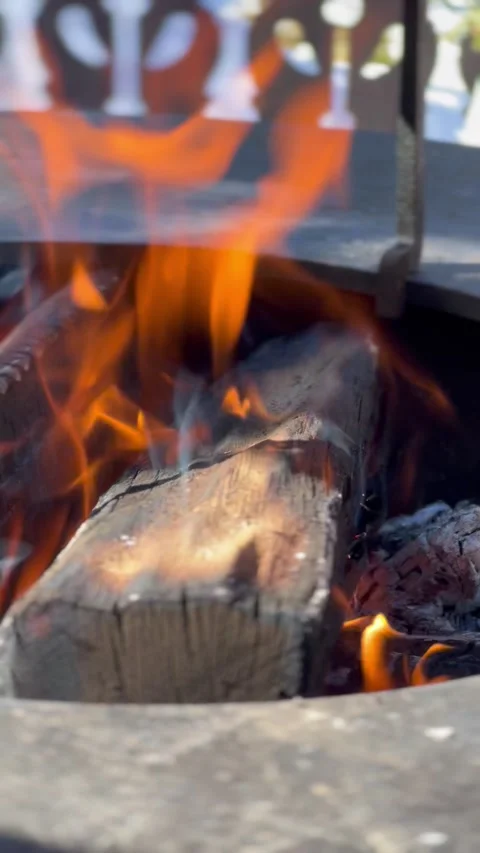 Flames of burning piece of wood Stock-Footage 336965346
