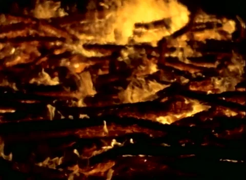 FLAMES / BURNING IN SLOW MOTION / BACKGROUND Stock Footage 163137252