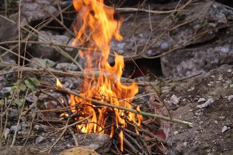 Flames in camp fire Stock Photos