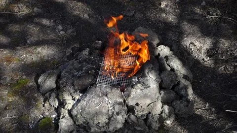 Flames Camp Fire Roast Grill Food Recreational Outdoor Activity Slow Motion Vídeos de archivo 154736446