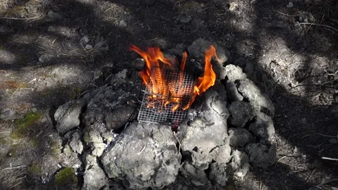 Flames Camp Fire For Roast Small Grill Food Recreational Outdoor Activity Vídeos de archivo 154736318