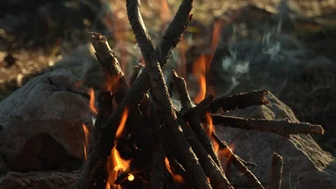 Flames of a Campfire Burning in the Forest. Stock Footage 265856338