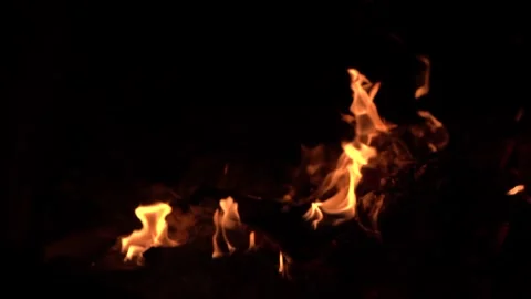Flames of a Campfire Stock Footage 170804650
