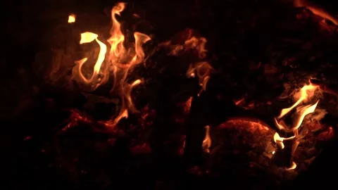 Flames of a Campfire Stock Footage 170804653