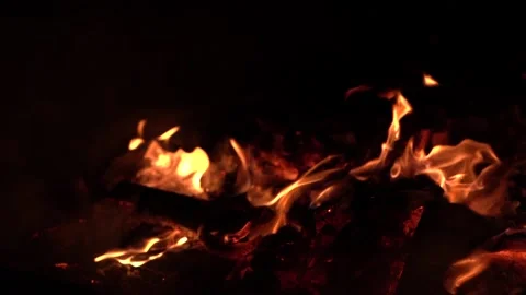 Flames of a Campfire Stock Footage 170804692
