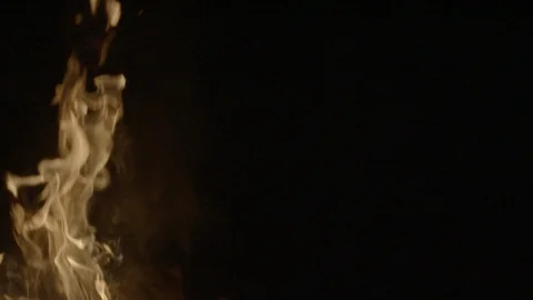 Flames of campfire lit at night Stock Footage 87613960