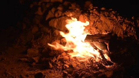 Flames of a campfire in the night Stock Footage 77846315