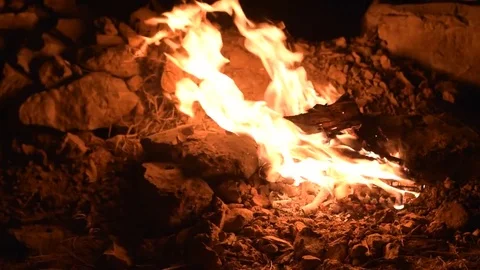 Flames of a campfire in the night Stock Footage 77868473