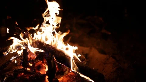 Flames of a campfire at night Video stock 90821377