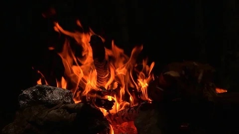 Flames of a campfire in the night Stock Footage 95933650