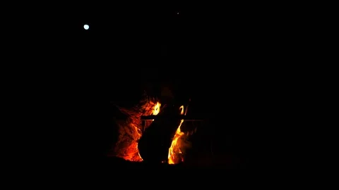 Flames Of A Campfire In The Night. Slow Motion. Stockbeeldmateriaal 111760041