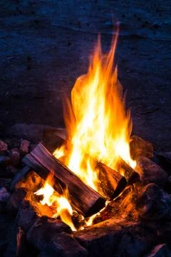 Flames of campfire. 写真素材