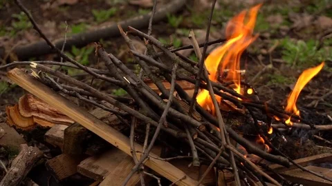 Flames from the campfire. Slow motion Stock-Footage 73889170