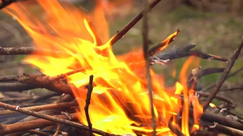 Flames from the campfire. Slow motion Stock Footage 73889279