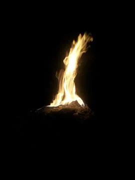 Flames of camping fire at night. 스톡 사진