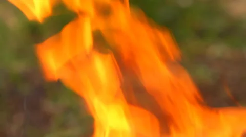 Flames close-up Stock Footage 49942093