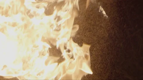 Flames close up 動画素材 171461776