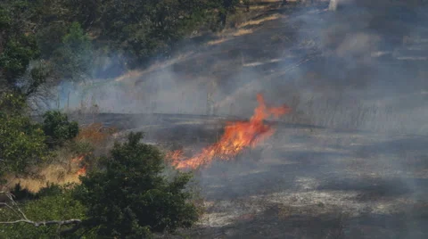 Flames consume a patch of dry grass and weeds before dying down Stock Footage 59161045