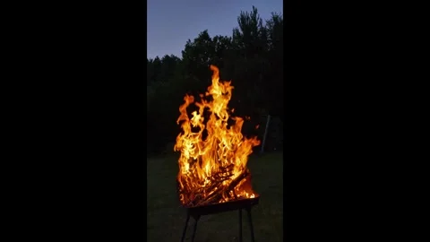 Flames consuming wood on a brazier during nighttime in a garden Stock Footage 282656984