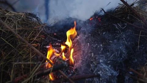 Flames Crackling in Dense Underbrush, Smoke Rising, Dramatic Closeup Stock Footage 300991671
