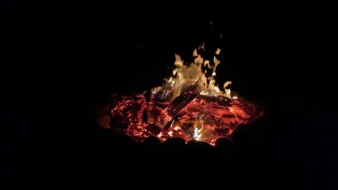 Flames dance in campfire 스톡 동영상 342335427