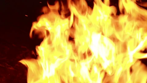 Flames dance in the dark of night at a campfire gathering with friends sharing Stock Footage 344318262