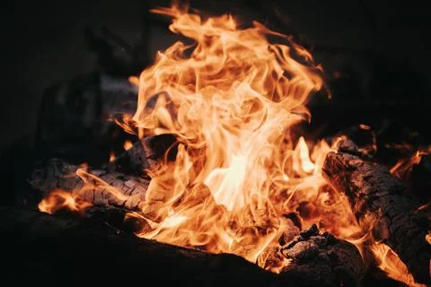 Flames dancing above charred logs in a campfire, glowing embers and smoke r.. Stock Photos