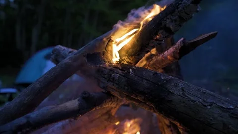 Flames dancing as firewood is burning at a camping ground in the forest of Stock Footage 269348126
