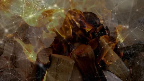 Flames emerging at log base, fluctuating, revealing glowing embers with network Stock Footage 312004521