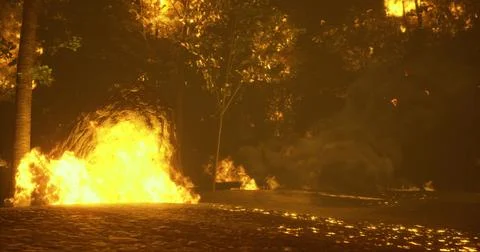 Flames engulf forest creating dramatic fire landscape in intense blaze Illustrazione stock