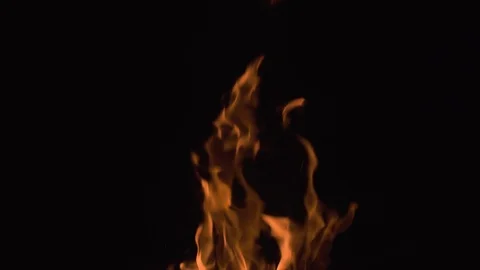 Flames of fire on a black background Stock Footage 123672627