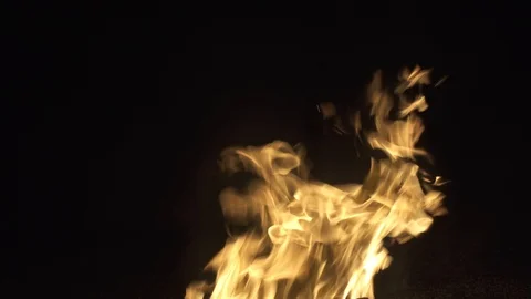 Flames of fire on a black background Stock Footage 123674955