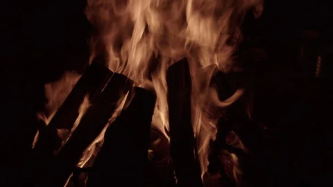 Flames of fire on black background Stock Footage 253225217