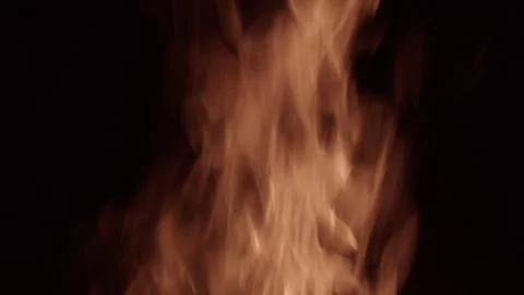 Flames of fire on black background Stock Footage 253225246