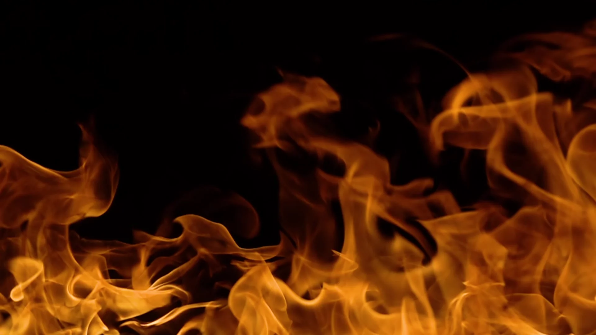 Fire Flame On Black Background Looping Stock Footage Video 100  Royaltyfree 665122  Shutterstock