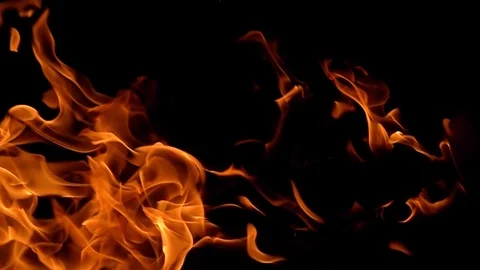 Flames of fire on black background in slow motion Stock Footage 95396985