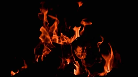 Flames of fire. Burning fire. Closeup of flames burning on black background Stock Footage 130198738