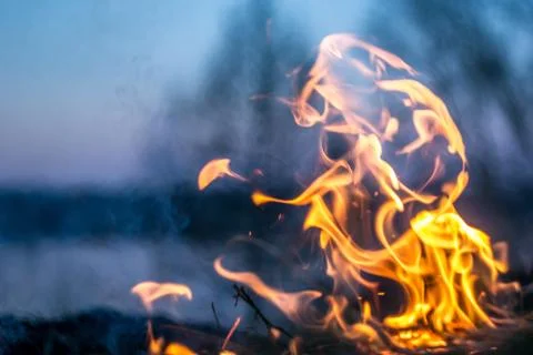 The flames of the fire burning the herb in the evening field, turning into co Stock Photos