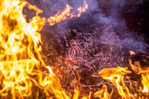 The flames of the fire burning the herb in the evening field, turning into co Stock Photos